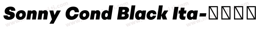 Sonny Cond Black Ita字体转换